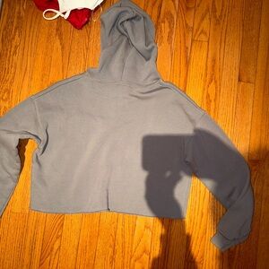 gray hoodie sweatshirt cropped